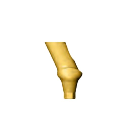 Bio3 Bio Line Angulated Abutment - Wide Premolar 25 Degree 9mm Length