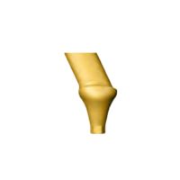 Bio3 Bio Line Angulated Abutment - Wide Molar 25 Degree 9mm Length