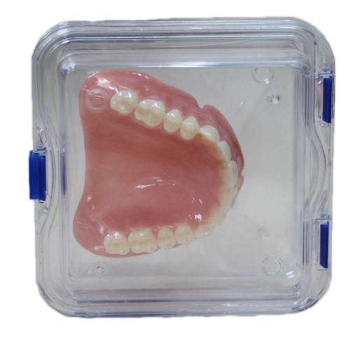 NovahDent Pillow Boxes With Membrane For Bridges & Dentures (Medium) - Image 2