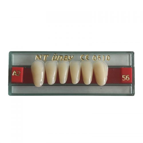 NT Unay Synthetic Acrylic Teeth (Lower Anterior)